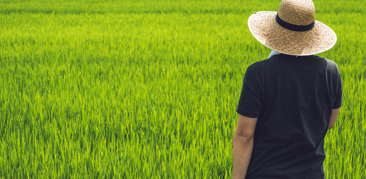 その想いを込めて