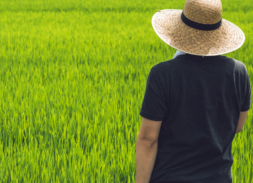 その想いを込めて